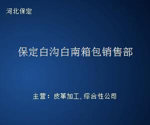保定白沟白南箱包销售部